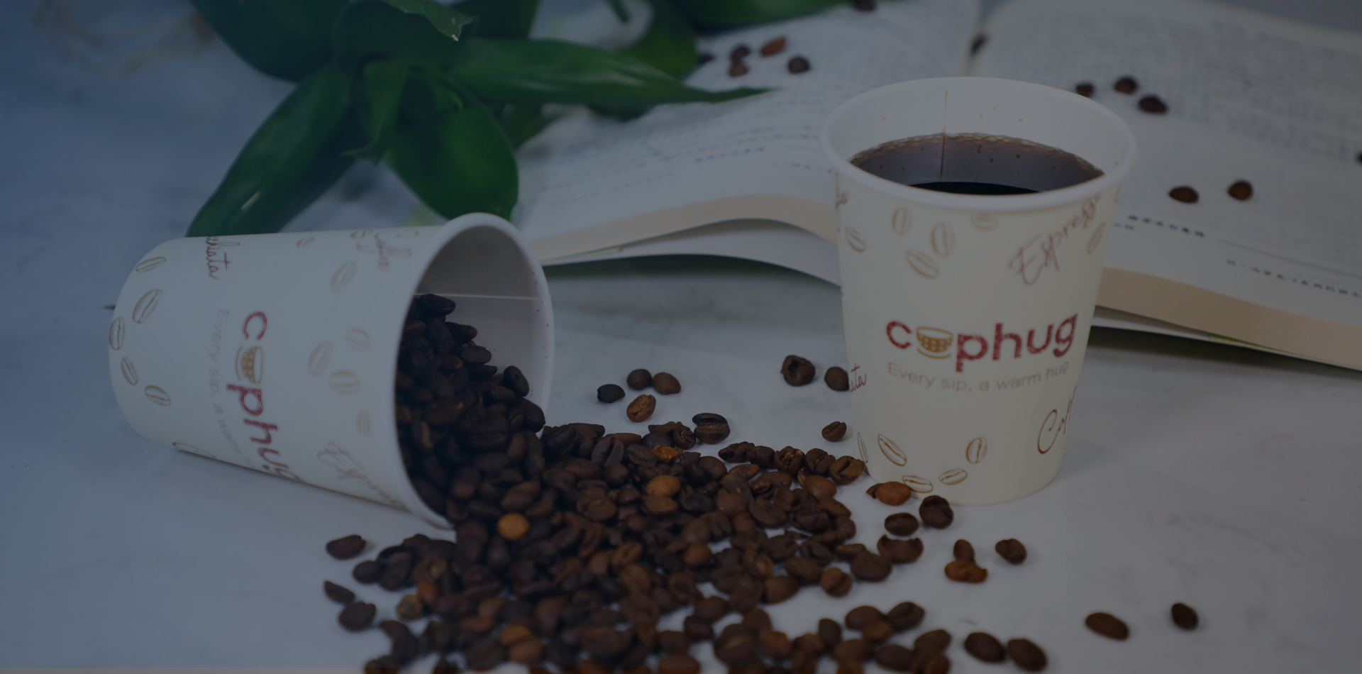 Jiangsu Marrot Biotechnology Co., Ltd.